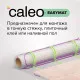 Нагревательный мат CALEO EASYMAT 180 Вт/м2 6,0 м2